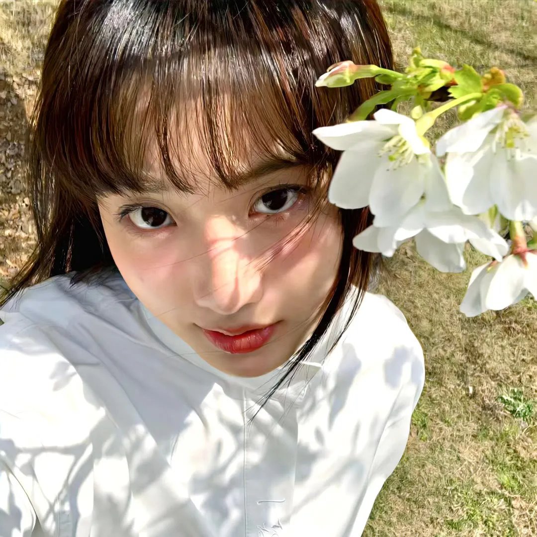 夏日奇妙书