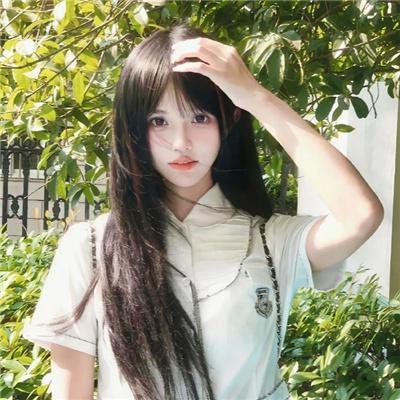 小树的天空